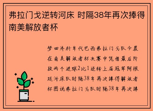 弗拉门戈逆转河床 时隔38年再次捧得南美解放者杯